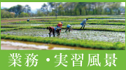 業務・実習風景